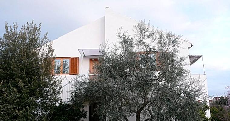 Sofia & Aldo Evi
